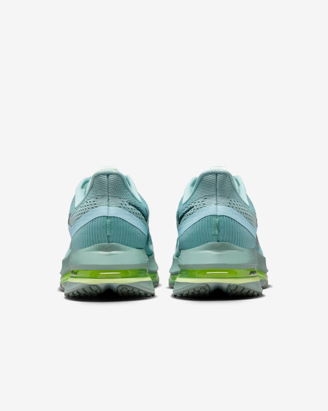 Nike Pegasus Premium